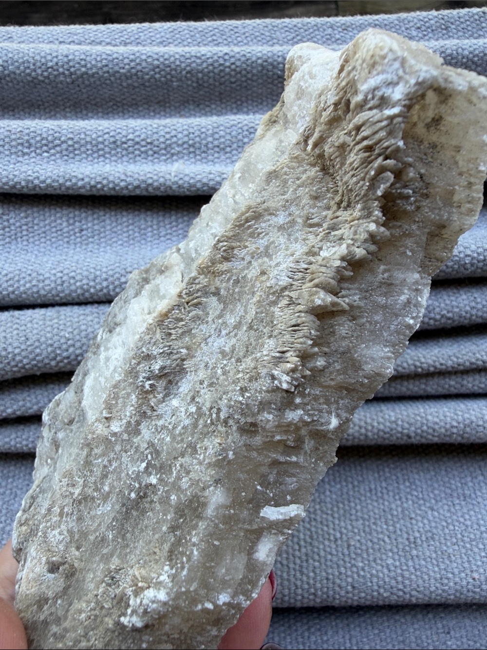 Raw •Selenite• Gypsum Crystal Mineral Specimen Natural Formation